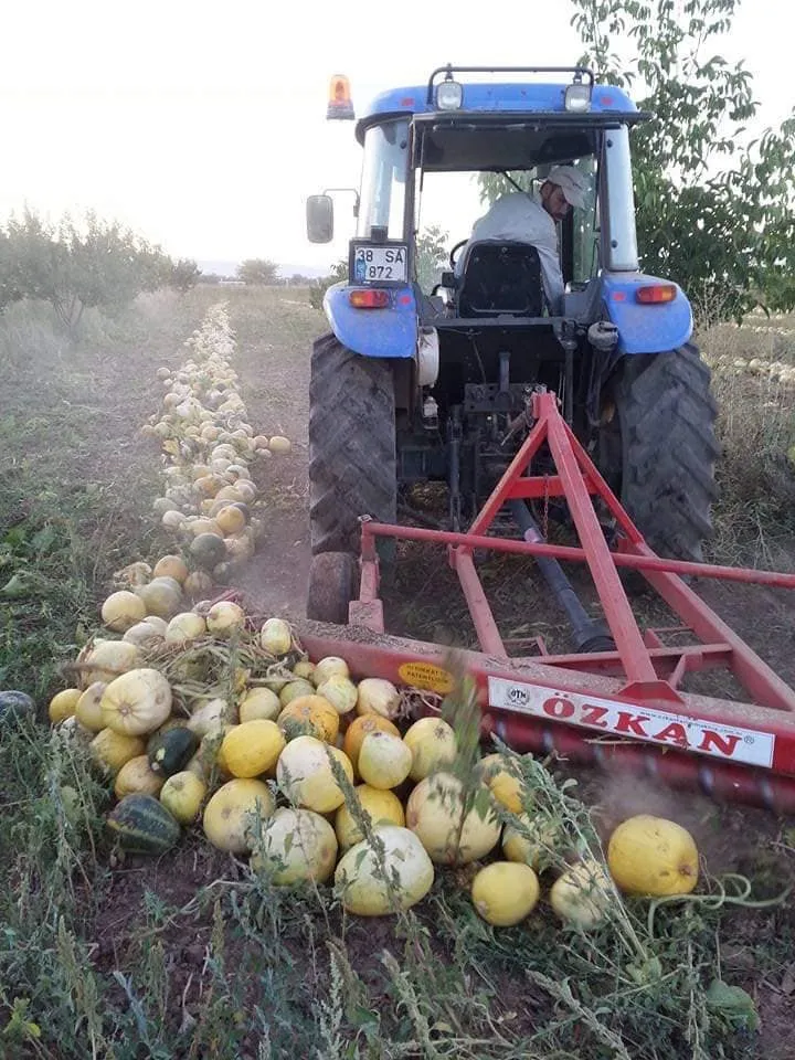SYM sıra yapma makinesi tarlada